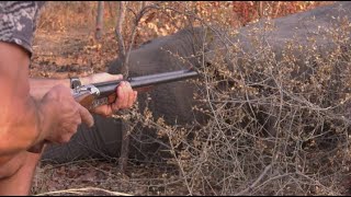 This Is Africa S5 Ep13 Saving The Dangerous Game [upl. by Alten635]