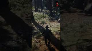 Plucking Lady Slipper Orchid RDR2  reddeadredmption2 CowBoy gaming rdrgameplay [upl. by Esnahc788]