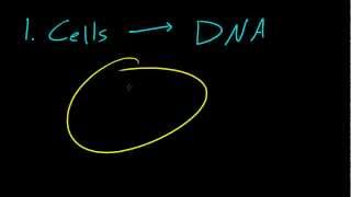 Biology Lecture  1  Introduction to Biology [upl. by Aicined]