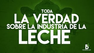 Toda la verdad sobre la industria de la leche Nuestra respuesta a la campaña quotMadrequot [upl. by Midas]