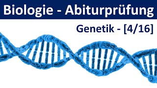 Biologie Abiturprüfung 2024  Aufgaben Genetik 12  Abitur Biologie 416 [upl. by Kunz]