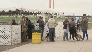 Dogs dawdle by their owners sides for annual event in Balloon Fiesta Park [upl. by Anilev110]