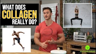 What Does Collagen Really Do The Benefits of Antler Farms Collagen Protein by Thomas DeLauer [upl. by Rofotsirk]