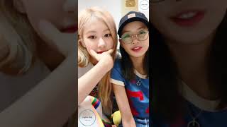 ChaeLisa What are you upto Blink Vlive  Blackpink VLiveLive  Eng Sub [upl. by Arikat846]