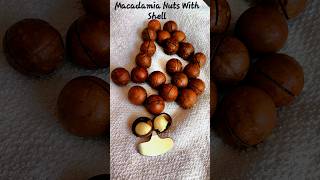 Macadamia Nuts key crack wallnuthow to open macadamianuts keycrackwallnut wallnut shorts arab [upl. by Daryn]