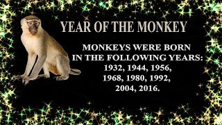 ASTROLOGY MONKEYCHINESE ZODIACPERSONALITYYEAR OF THE MONKEY TRAITMONKEY ZODIAC SIGN [upl. by Amalbergas]