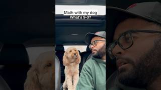 Mini Cockapoo Thinks Before Getting Each Math Question Right 😳 [upl. by Ole]