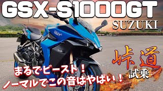 GSXS1000GT（スズキ）試乗インプレ。Ninja1000と比べてみた、ハスさんの感想。 [upl. by Hermy949]