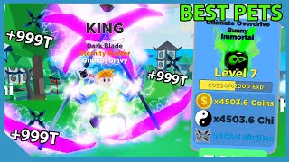 I Unlocked The Most Expensive Sword and Crafting Immortal Pets In Roblox Ninja Legends [upl. by Helfand728]