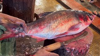 Incredible Big Silver Carp Fish Cutting Skills Live In Fish Market  Fish Cutting Skills [upl. by Aimehs]