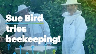 Symetra helps Sue Bird spread her wings in retirement by learning beekeeping from pro bee rescuers [upl. by Sanford]