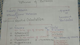 Ethology Animal behaviour pattern of behavior spatial orientationkinesis and their types [upl. by Bilat880]