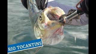 Pescaria no Rio Tocantins  Operação É Peixe de Mais [upl. by Elrebma933]