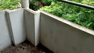 2BHK FLAT FOR SALE  RUIKAR COLONY KOLHAPUR 9156773800 [upl. by Ettenoj]