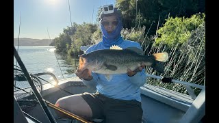 Clearlake Bass Fishing 61224 225lbs Top 5 Fish [upl. by Solly757]