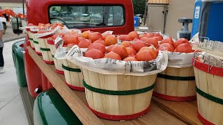 Tomato Festival 2021  Jacksonville TX [upl. by Idnyc]