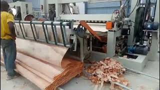 wood drum chipper machine SL1M [upl. by Cirilla]