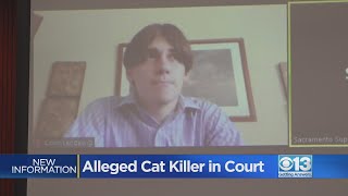 Judge orders teen accused of Orangevale cat killings to move or remove all farm animals from family [upl. by Cicily]