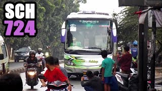 Bus Scorpion Holidays dan Para Manianya  BUS SCH 724 AKA ARENDELLE [upl. by Aidnic363]