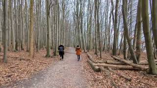 Hiking in Jasmund National Park Rügen Germany [upl. by Enair805]