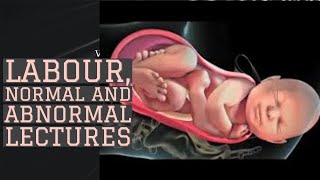 LABOUR lecture 2 STAGES OF LABOUR and FETAL presenting DIAMETERS made easy [upl. by Valenka182]