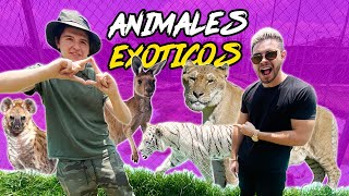 LOS ANIMALES MAS EXOTICOS DE MEXICO 🐯 [upl. by Maer813]