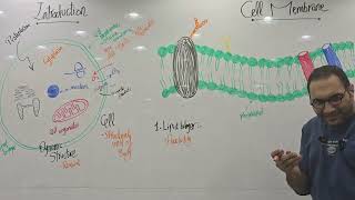 Introduction Physiology1 module 103 Kasr AlAiny 2025 [upl. by Akel329]