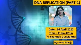 DNA Replication Basics  Part 1 [upl. by Sparke]