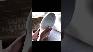 Allbirds NEW Lightweight Tree Runner Go Shoes Unboxing 👟✨ [upl. by Harv427]