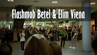 Flashmob Betel amp Elim Viena  7122024  Auhof Center [upl. by Latsyrk]