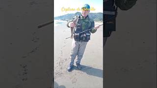 Pesca de Robalito sur de Chile music nature adventure fishingshopping CazayPescaCuracautin [upl. by Tati]