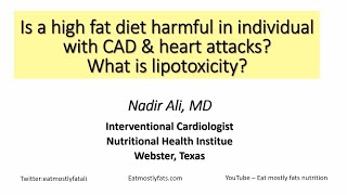 Dr Nadir Ali presentation High Fat Diets Heart Attacks and Lipotoxicity [upl. by Illyes299]