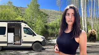 Van Life in Tahoe Bear Encounters amp Van FixesMaintenance [upl. by Sibie]