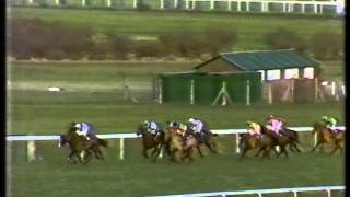 1986 SGB Handicap Chase [upl. by Ryan90]