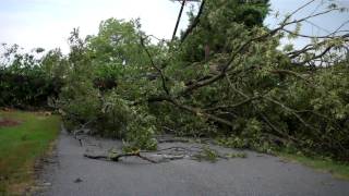 PacoletSCStorm takes down hugh tree and power linesLands in road near a home [upl. by Spooner783]