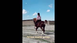 how to ride uncontrollable arabian horse horseride viralvideo galloping arabianhorse rearing [upl. by Asatan915]