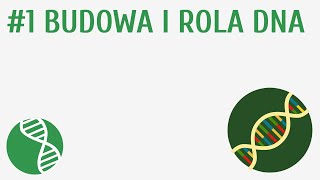 Budowa i rola DNA 1  Genetyka [upl. by Llednav]