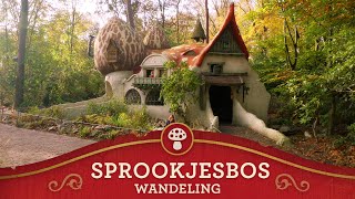 Efteling Walkthrough  Sprookjesbos [upl. by Eiramnna592]