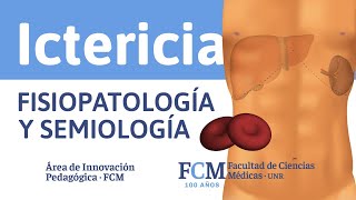 Ictericia  Fisiopatología y Semiología [upl. by Norac]