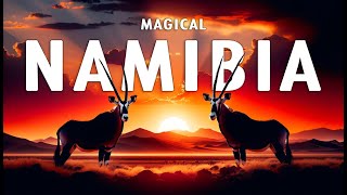 MAGICAL NAMIBIA  The Amazing Wildlife of Namibia Full Documentary [upl. by Lierbag]