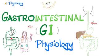 Gastrointestinal GI Physiology…The Basics Introduction  Physiology Series [upl. by Ehr957]