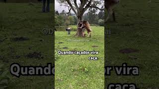 TOMA DISTRAÍDO 😂 comedia humor viralvideo serginho shortsvideo [upl. by Ira]