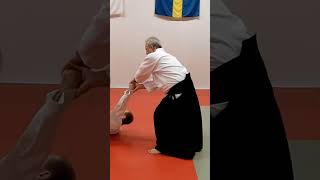 Aikido technique KOTEGAESHI on some grab and strike attacks by Stefan Stenudd [upl. by Assilim]