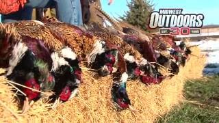 MidWest Outdoors 1596  Pheasant Hunting in Huron South Dakota [upl. by Adleremse]