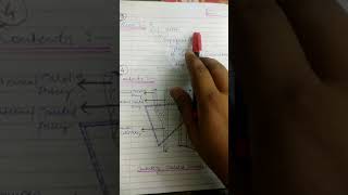 Carotid triangle 10marksanatomy [upl. by Aoniak]