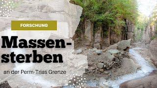 Das Massensterben an der PermTrias Grenze [upl. by Tildy]