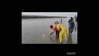 Dwarka Gomti Nadi arti [upl. by Aehcsrop]