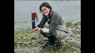 Science Talk Seagrass A Climate Change Solution [upl. by Murvyn]