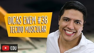 TECIDO MUSCULAR  HISTOLOGIA  DICA ENEM BIOLOGIA 38  Prof Kennedy Ramos [upl. by Aelegna]