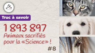 8  Lutilisation des animaux au nom de la quotSciencequot pose de nombreuses questions [upl. by Attem]